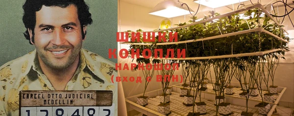 МДМА Горнозаводск