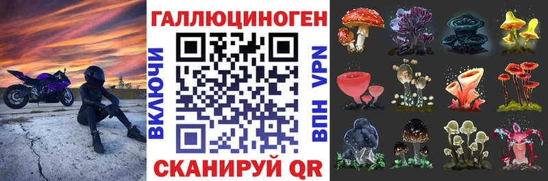 Псилоцибиновые грибы Psilocybe  мега рабочий сайт  Южно-Сахалинск 